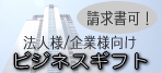ˡ����/����͸������ӥ��ͥ����ե�