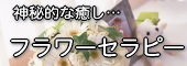 �ե�����ԡ�